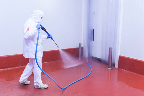 Best Graffiti Removal  in Atlantic Beach, NC